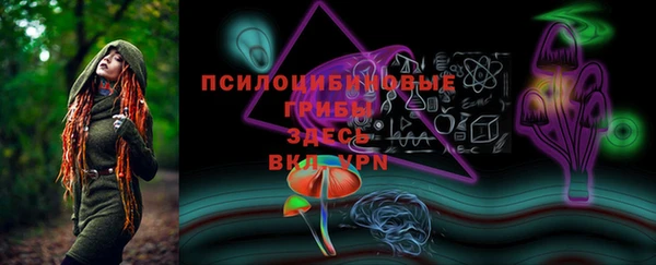 гидра Магас