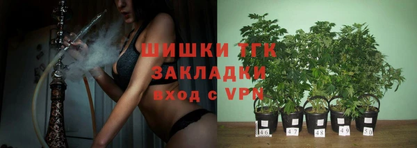 гидра Магас