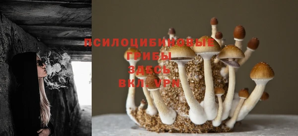 2c-b Майский