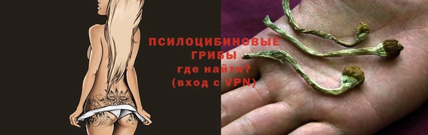 гидра Магас